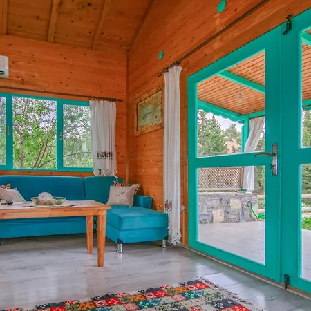 Tatil Evi Rengin