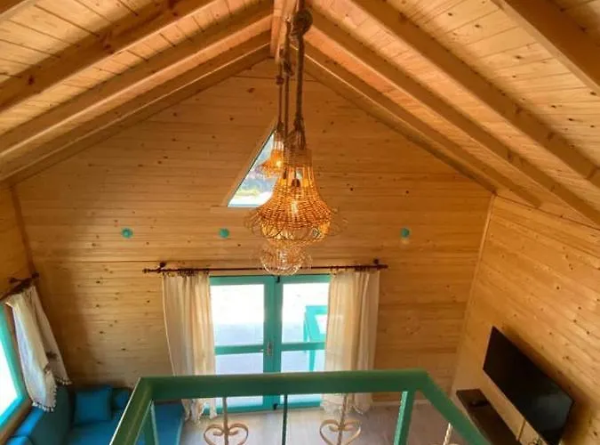 בית נופש Rengin דטקה